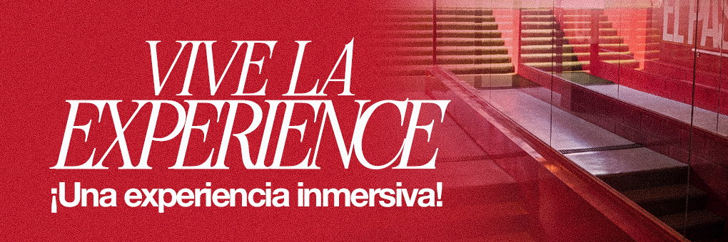 EXPERIENCE JORNADA 2