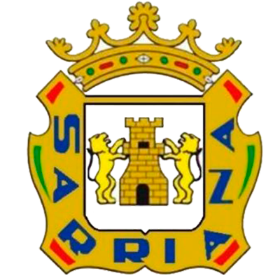 SD SARRIANA