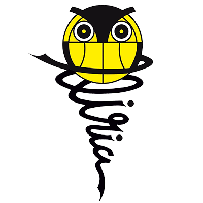 CLUB ESPORTIU BÀSQUET LLÍRIA