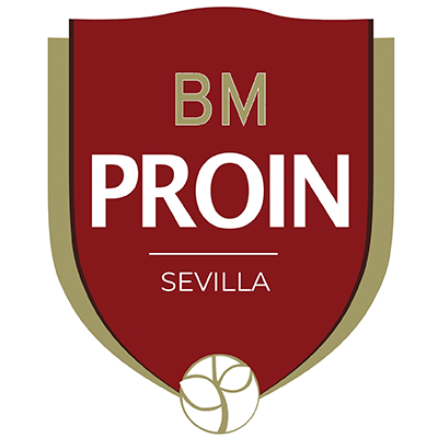 CAJASOL SEVILLA BM PROIN