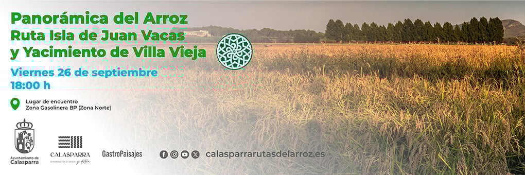 Panorámica del Arroz - Ruta Isla de Juan Vacas