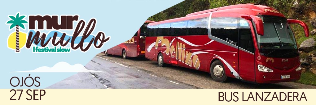 Autobús Murcia - Ojós