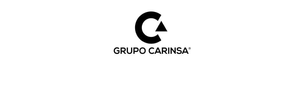 Definiendo tu esencia - Grupo Carinsa