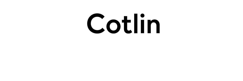 Cotlin Raw Workshop